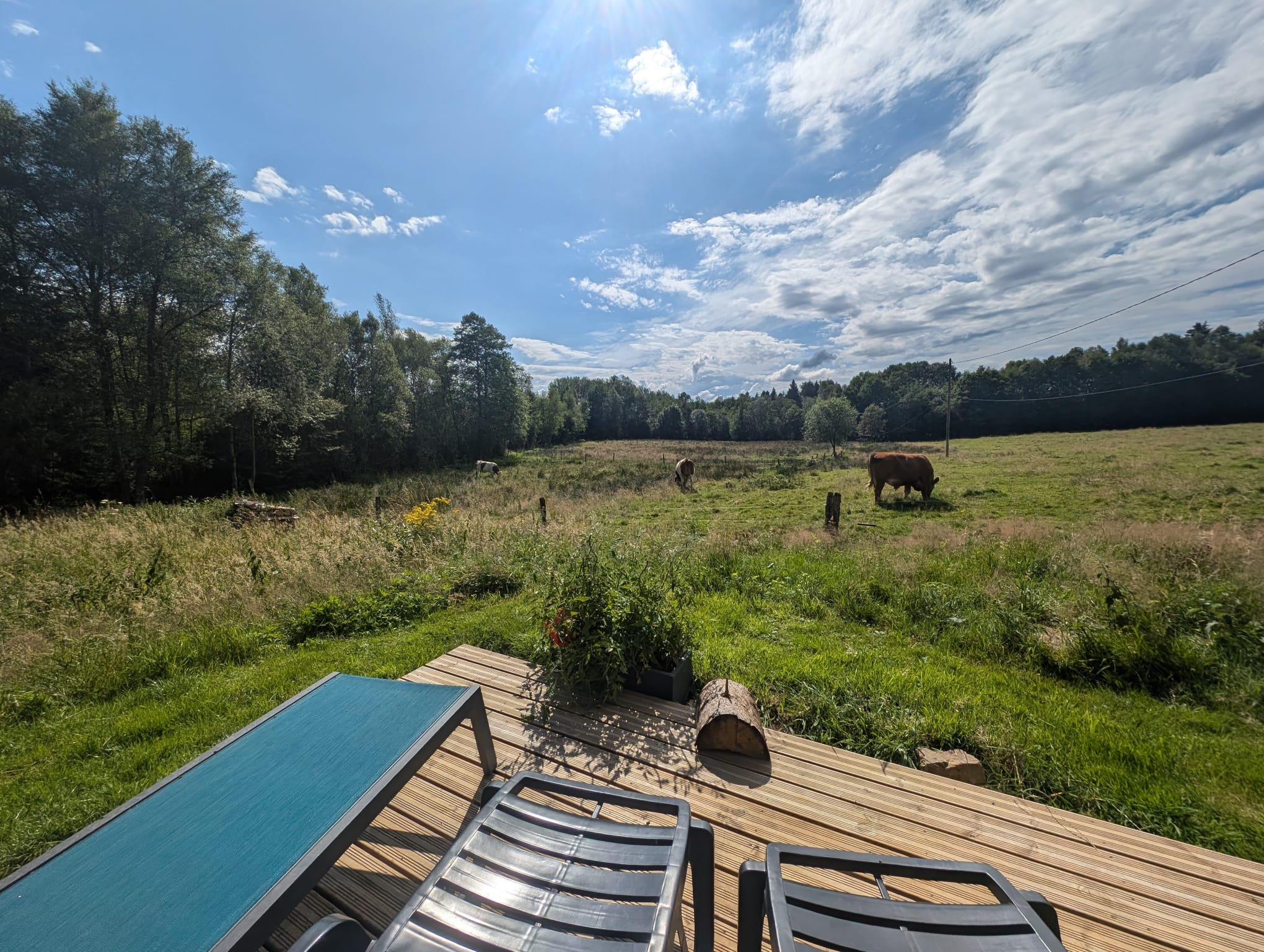 Vue extérieure prairies
